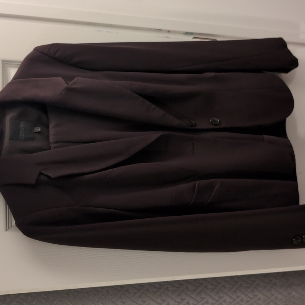 The Limited Suit Jacket and Pants